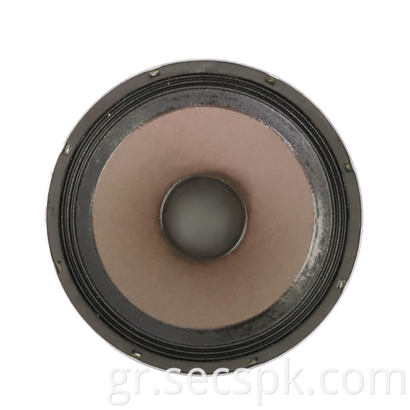 10inch Pa Speaker